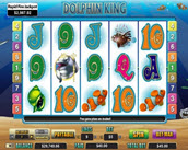 dolphin king