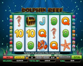 dolphin reef