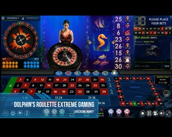 dolphin’s roulette