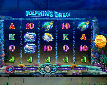 dolphins dream