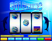 dolphins