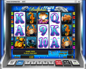 dolphins spins