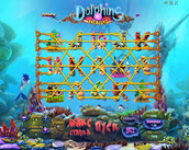 dolphins treasure