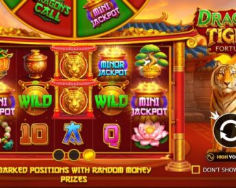 Dragon Tiger Fortunes