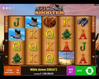 duck shooter