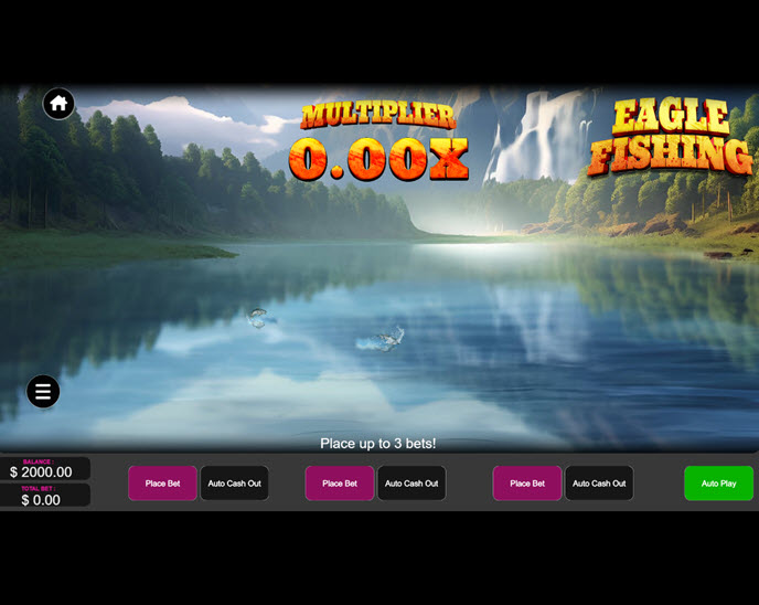 eagle fishing