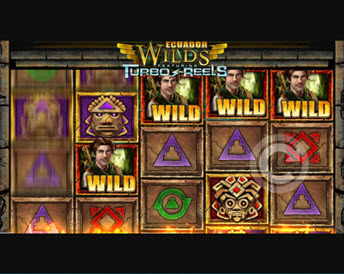 ecuador wilds