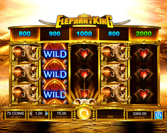 elephant king