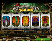 enchanted woods