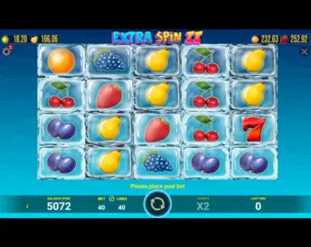 Extra Spin 2