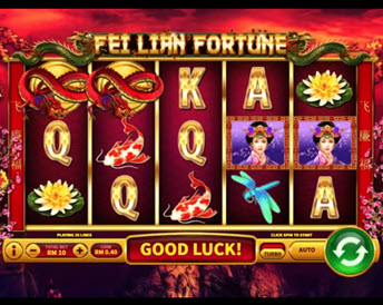 fei lian fortune