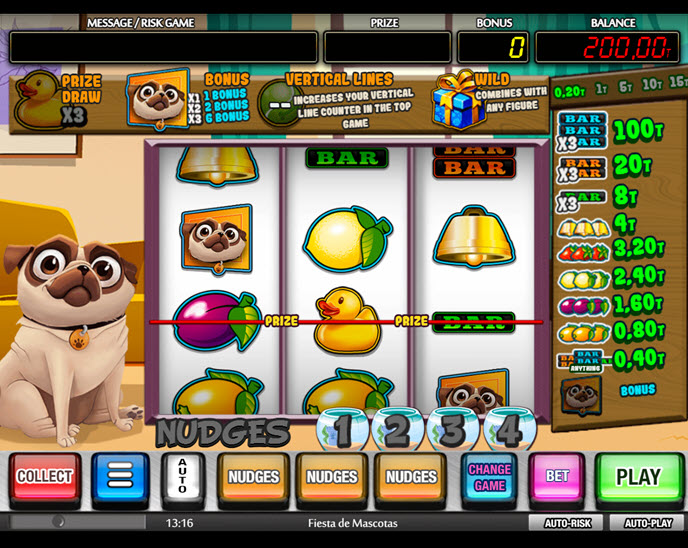 fiesta de mascotas