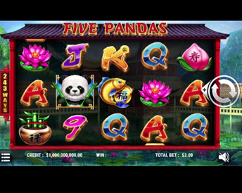 five pandas