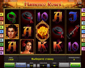 flamenco roses