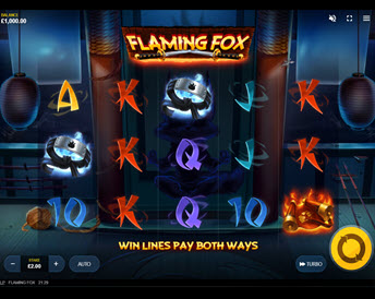 flaming fox