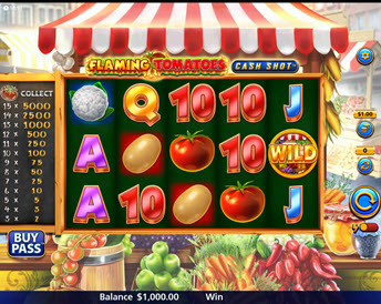 flaming tomatoes: cash shot
