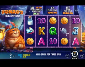 Fonzo’s Feline Fortunes