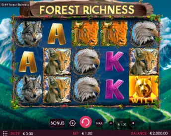 Forest Richness