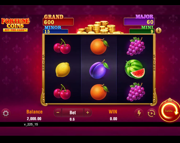 fortune coins (tada gaming)