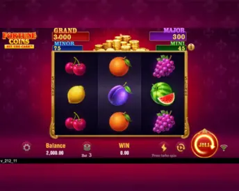 Fortune Coins
