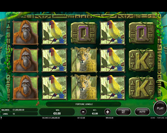 fortune jungle