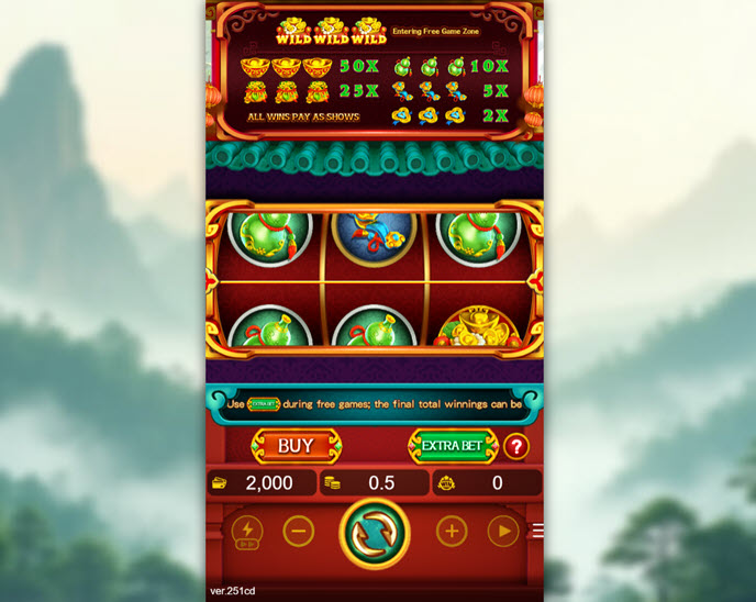 fortune overflow