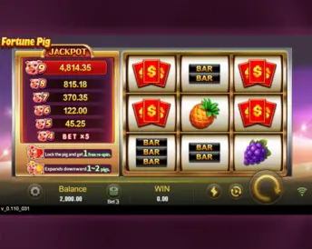 fortune pig (jili games)