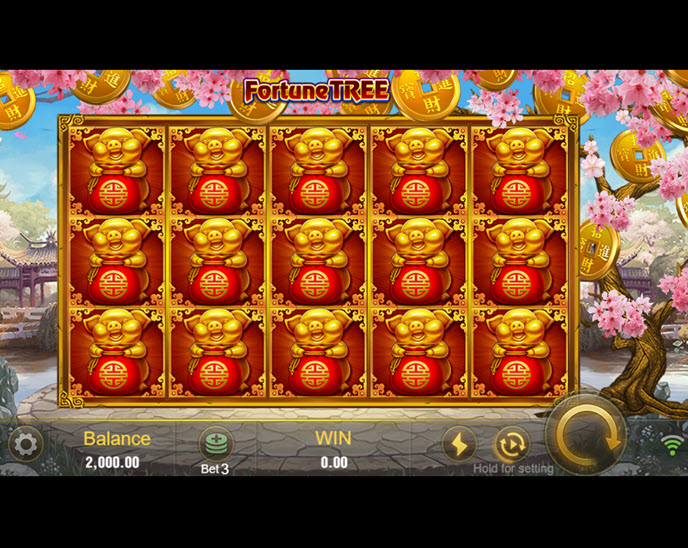 fortune tree (jili games)