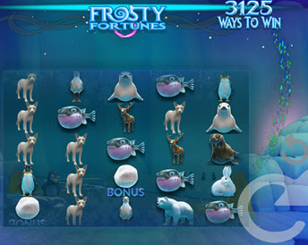 frosty fortunes