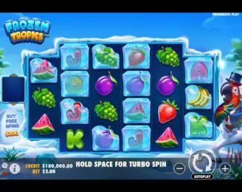 Frozen Tropics