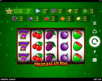 Fruit Salad 100