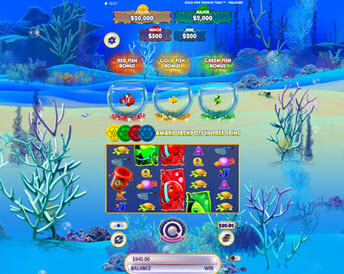 gold fish feeding time treasure