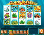 gold fish