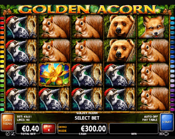 golden acorn