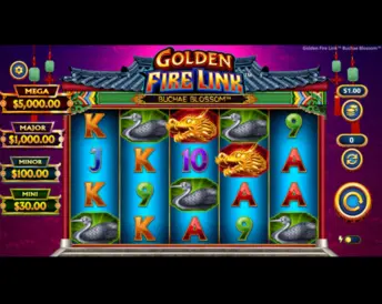 Golden Fire Link Buchae Blossom