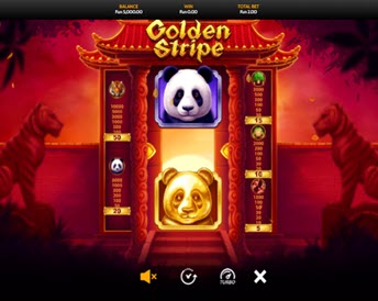 golden stripe