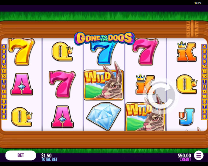 gone to the dogs