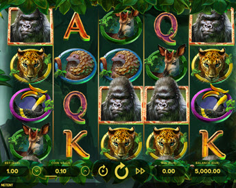 gorilla kingdom