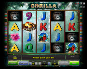 gorilla