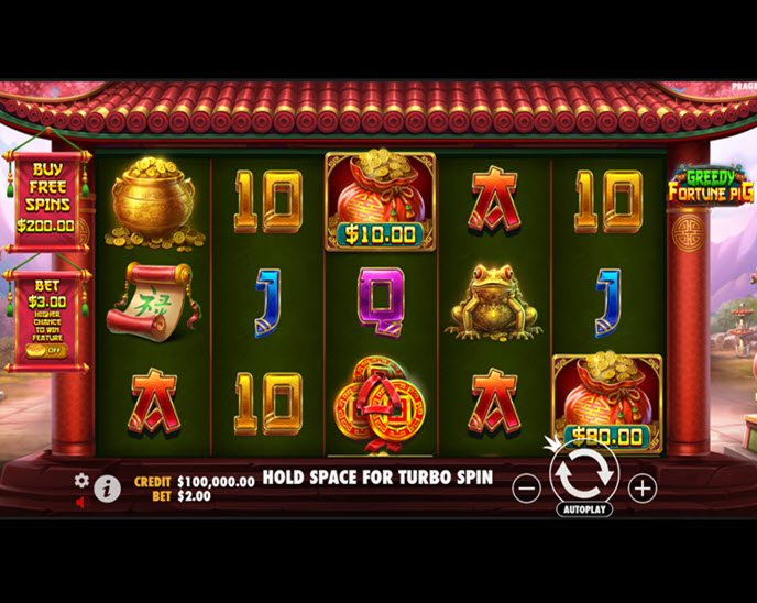greedy fortune pig