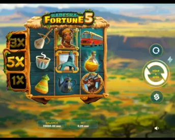 Habesha Fortune 5