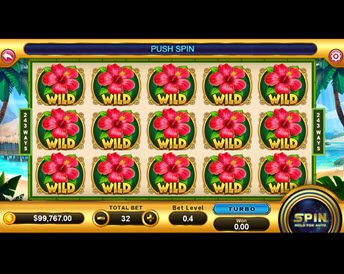 hawaii (funky games)