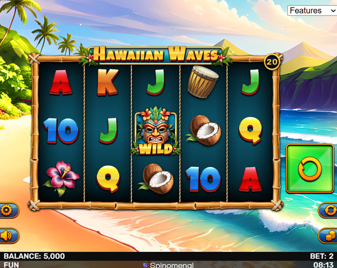 hawaiian waves