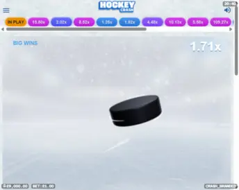 Hockey Crash