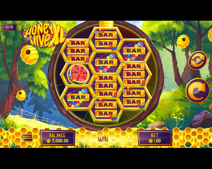 honey hive xl