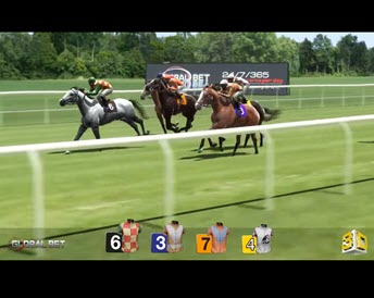 horse races
