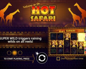 Hot Safari
