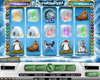 icy wonders