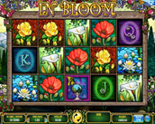 in bloom