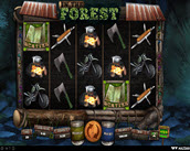in the forest